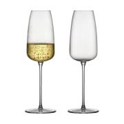 Lyngby Glas Veneto champagneglas 36 cl 2-pak Clear