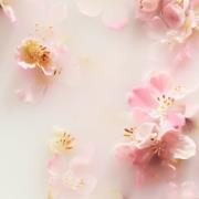 Rituals The Ritual of Sakura Floral Cherry Blossom & Rice Milk Recover...