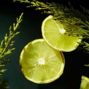 Rituals Homme Collection Cedar Wood and Vitamin E Complex Hygienic Han...