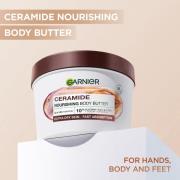 Garnier Body Superfood, Repairing Body Butter, Cocoa and Ceramide, 380...