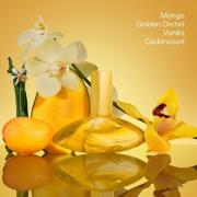 Calvin Klein Euphoria Solar Elixir Parfum Intense 50ml