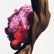 Balmain Destin de Balmain Eau de Parfum 10ml