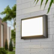 Kiran udendørs LED-væglampe med stødsikker skærm