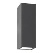 Senta udendørs væglampe, grafit