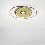 Paul Neuhaus Q-AMIRA LED-loftlampe oval, sort