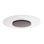 Zaniah LED-loftslampe, 360° lys, 24W, sort