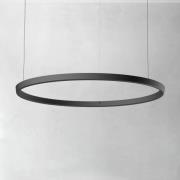 Luceplan Compendium Circle 110 cm, sort