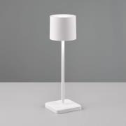 Fernandez LED-bordlampe, dæmper og CCT hvid