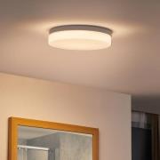 Prios Wynion LED-loftslampe CCT DIP-kontakt 30 cm