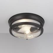 Glasgow loftslampe med glasskærm, IP44 sort