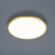 Helestra Rack LED-loftlampe dæmpbar, rund, guld