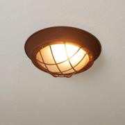 Landligt rustik loftlampe Typhoon