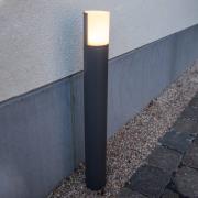 Cyra LED-gadelampe, drejeligt lampehoved