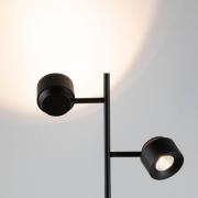 Paulmann Puric Pane I LED-gulvlampe med dæmper