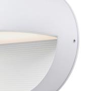 Westinghouse Winslett LED vægdæmpbar, hvid
