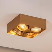 Riesta loftspot, guld, 4 lyskilder