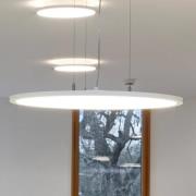 LED-hængelampe FL Round 777 PL OP DALI 44W 830