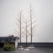 LED-dekorationstræ Tobby Tree IP44 brun højde 180 cm