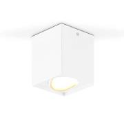 EVN Kardanus LED-loftlampe, 9x9cm, hvid