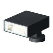 WEVER &amp; DUCRÉ Stake 1.0 udendørs spotlampe antracit