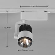 LED-skinnespot Radiator til DUOline, titanium mat, CCT