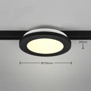 LED-loftslampe Camillus DUOline, Ø 17 cm, sort