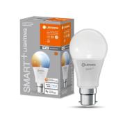 LEDVANCE SMART+ WiFi B22d 9W Classic 2,700-6,500K