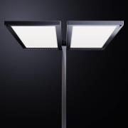 Regent Lighting Lightpad, LED 2 lk midte fod sølv