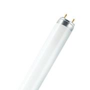 OSRAM lysstofrør LUMILUX, G13 T8, 120 cm 2.700 K 36 W