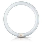 G10q 22W 840 ring-lysstofrør Master Circular TL-E