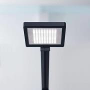 LED-bordlampe PARA.MI FTL 108 R sort 940