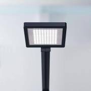 LED-bordlampe PARA.MI FTL 108 R sort 930
