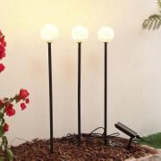 Lindby LED-solcellelampe Brindley, 3-pak, sort, glas