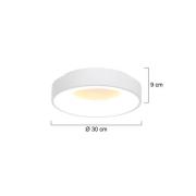 Ringlede LED loftlampe, 2.700 K, Ø 30 cm, hvid, metal