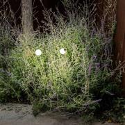 LED-sokkellampe Cuca, sort, stål/glas, højde 65 cm