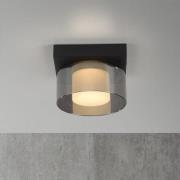 Paul Neuhaus LED-loftlampe Rika, Ø 15 cm, glas, dæmpbar