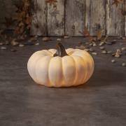 LED-terrasselampe Sandy Pumpkin, Ø 20,5 cm, hvidt batteri