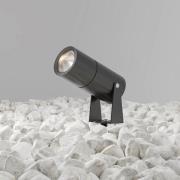 Maytoni LED-spot med jordspyd Bern, grafit, Ø5,5cm, 5W, IP65