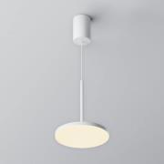 Maytoni LED-hængelampe Plato, hvid, Ø 18,5 cm, aluminium
