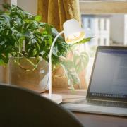 Biwo LED-bordlampe, hvid, berøringsdæmper, metal