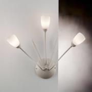 Gloriosa væglampe, creme, glas, 3 lyskilder