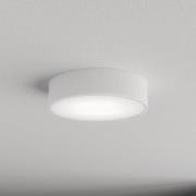 Cleo 300 loftlampe, hvid, sensor, IP54, Ø 30 cm, metal