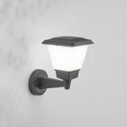 Udendørs væglampe Lena, mørkegrå, metal, E27, 27 cm, IP54