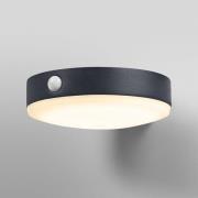 OSRAM LED-sensor-væglampe ENDURA STYLE TOSSA Solar 16 cm 830