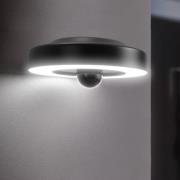 OSRAM SMART+ Wifi LED-udendørskamera CIRCLE, grafit Sensor IP44