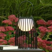 LED-bordlampe Fjara, sort