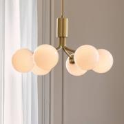 Nuura pendellampe Apiales 6, Ø 50 cm, messingfarvet/opal