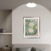 LED-loftlampe Kaida, nikkel mat, Ø 38 cm, energiklasse A, 4.000 K