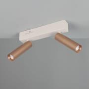 LED-loftspot Ambala, længde 26 cm, grå/brun, 2 lyskilder