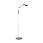 LED-gulvlampe Tallri, sort, højde 135 cm, CCT, Touchdim